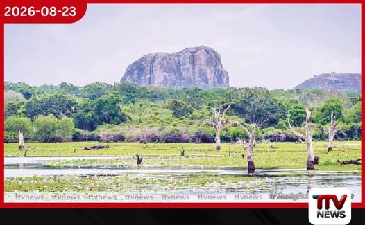 යාලේ ඇත්ගල්පව්වෙන් හෙළිවන දුටුගැමුණු රජුගේ ඉතිහාසය!