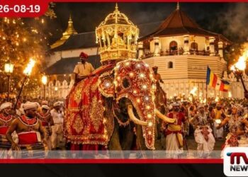 මහනුවර ඇසළ පෙරහරේ අලි ඇතුන්ට ලේසර් කිරණ එල්ල කරන්නන්ට නීතිය තදින් ක්‍රියාත්මකයි