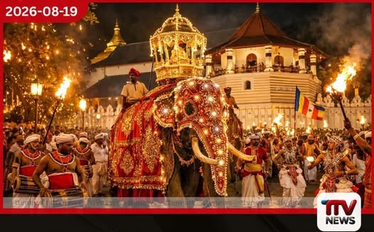 මහනුවර ඇසළ පෙරහරේ අලි ඇතුන්ට ලේසර් කිරණ එල්ල කරන්නන්ට නීතිය තදින් ක්රියාත්මකයි