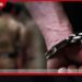 පාකිස්ථානයේ රෝහලක හටගත් ගින්නකින්  අලුත උපන් බිළිඳුන් 15 දෙනෙකු  පිළිස්සී ජීවිතක්ෂයට
