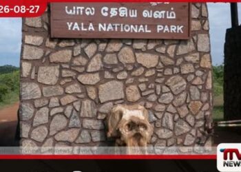 පවතින වියළි කාලගුණය නිසා  යාල ජාතික උද්‍යානයේ I සහ II කලාප  සැප්තැම්බර් 14 සිට මසකට  වසා දැමේ