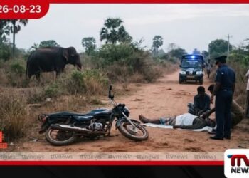 මැදවච්චියේදී යතුරුපැදියෙන් ගමන් කළ පුද්ගලයෙකුට වන අලියෙකු පහරදීලා…