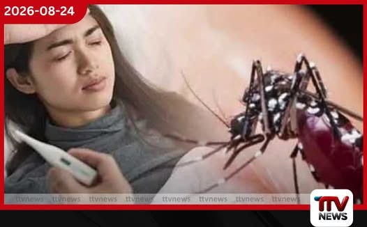 මෙරට ඩෙංගු රෝගීන් සංඛ්යාව 94,000 ඉක්මවයි