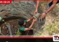 රිටිගල අතහැර දැමූ ළිඳක සිරවී සිටි ඉබ්බන් 15 දෙනෙකු වනජීවී නිලධාරීන් විසින් බේරාගැනේ
