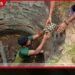 රිටිගල අතහැර දැමූ ළිඳක සිරවී සිටි ඉබ්බන් 15 දෙනෙකු වනජීවී නිලධාරීන් විසින් බේරාගැනේ