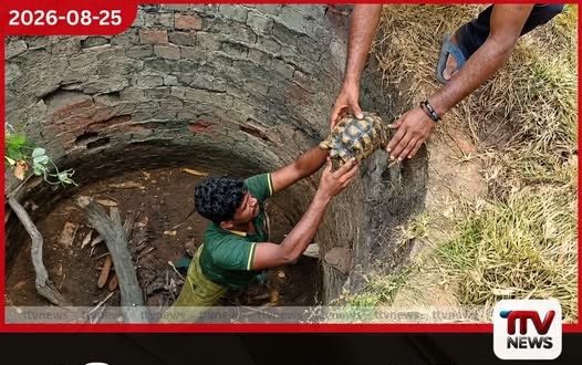 රිටිගල අතහැර දැමූ ළිඳක සිරවී සිටි ඉබ්බන් 15 දෙනෙකු වනජීවී නිලධාරීන් විසින් බේරාගැනේ