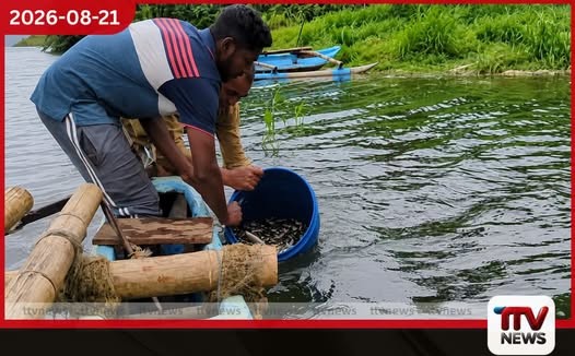 ස්විස්ටර්ලන්තයේ අවන්හලක ඇති වූ ගින්නකින් 05ක් මරුට
