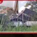 මහනුවර ඇසළ පෙරහරේ අලි ඇතුන්ගේ සෞඛ්ය තත්ත්වය පරීක්ෂා කිරීම සඳහා විශේෂ වෛද්ය සායනයක්