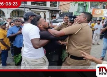 දළඳා මාලිගාව අසල පොලිසියට පරුෂ වචනයෙන් බැනවැදී