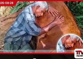පවුල රැකදුන් අම්මාගේ අවසන් ගමන…