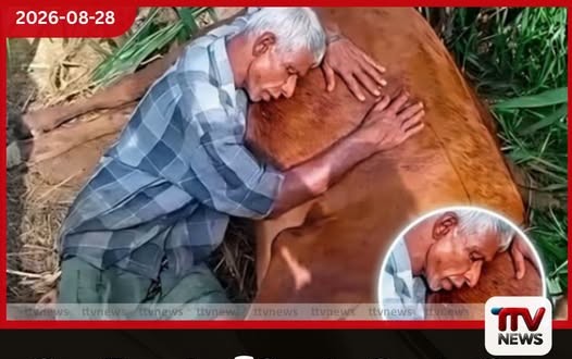 පවුල රැකදුන් අම්මාගේ අවසන් ගමන…