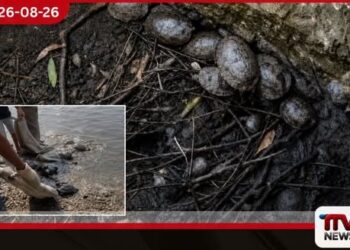 බටහිර තීරයේ ප්‍රචණ්ඩත්වය වහාම නතර කරනු