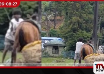 නුවරඑළියේදී පෝනියෙකුට කෝට්ටෙන් පහරදුන් තරුණයා පොලිස් අත්අඩංගුවට!