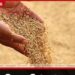 වී අලෙවි මණ්ඩලය  අපේක්ෂිත ඉලක්කය ඉක්මවයි…