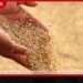 පානදුර නිලංග සැප්තැම්බර් 3 දක්වා රිමාන්ඩ්