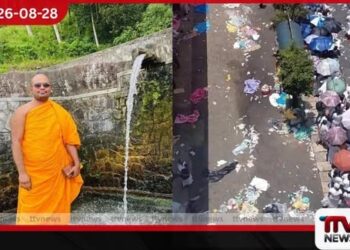 පින් සිද්ධ වෙයි ලබන අවුරුද්දේ නම් මෙහෙම අය නුවර එන්න තියා හිතන්නවත් එපා!