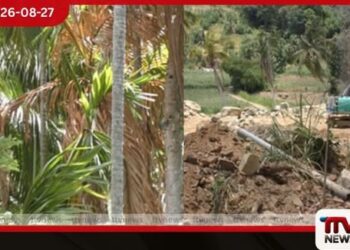 එල් නිනෝ බලපෑම නිසා කළුගහකඳුරේ කිතුල්-පුවක් ආදායම අහිමි වී ජනතාව අසරණ වෙලා!