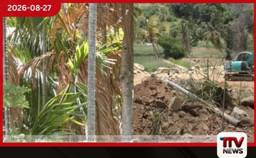 එල් නිනෝ බලපෑම නිසා කළුගහකඳුරේ කිතුල්-පුවක් ආදායම අහිමි වී ජනතාව අසරණ වෙලා!
