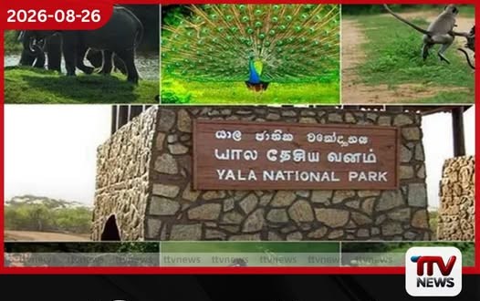යාල ජාතික උද්යානයේ I සහ II කලාප සැප්තැම්බර් 14 සිට මසකට වසා දැමේ!