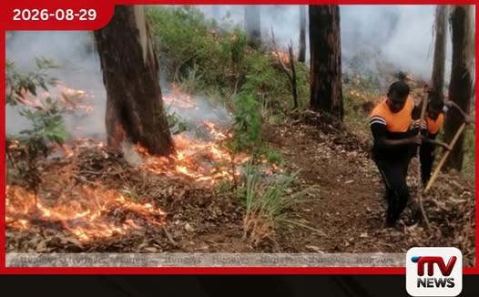 ඔහිය වනාන්තර කලාපයේ හටගත් ගින්න පාලනය කිරීමට ගුවන් හමුදාවත් කැඳවයි