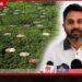 ත්රිකුණාමලයේ තෙල් ටැංකි 29ක් ආයෝජකයන්ට බද්දට දීමට ටෙන්ඩර් කැඳවයි