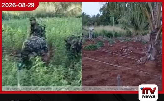 STF එකෙන් බැහැලා සෙවනගල ගංජා හේන් සුද්දම කරලා දායි!