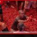 ස්පාඤ්ඤයේ La Tomatina තක්කාලි සටනින් නගරයම රතු පැහැයෙන්නෑවෙයි!