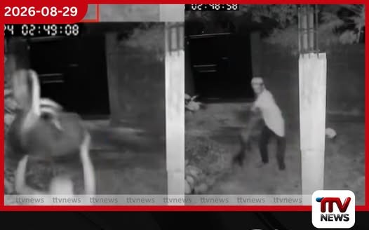බල්ලටත් අන්ත තිරිසනා සුරතල් බල්ලාව පොළේ ගසා මරා දමයි!