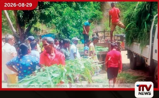 රත්නපුර ගුරුළුමාන වැසියන්ගෙන් මොනරාගල ගවයන්ට තණකොළ ලොරි තුනක්