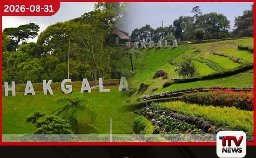 හක්ගල උද්භිද උද්යානය කේන්ද්ර කරගනිමින් නව ශාක සංරක්ෂණ මධ්යස්ථානයක් සහ විද්යාගාරයක් ඉදිවෙයි