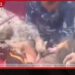 මහජන සෞඛ්ය හෙද නිලධාරින් 72ට පත්වීම් ලිපි ප්රදානය අද