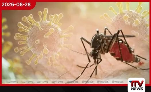 ඩෙංගු අවදානම තවදුරටත් ඉහළට… වසරේ රෝගීන් 94,805ක්, මරණ 72ක්!