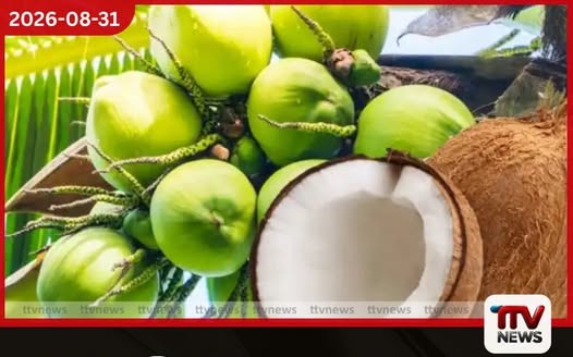 පවතින වියළි කාලගුණයත් සමඟ 2027 වසරේදී පොල් අඩුවීමේ අවදානමක්