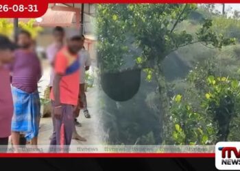 රාජා වත්තේ තේ දළු නෙළමින් සිටි වතු කම්කරුවන් 17කට බඹර ප්‍රහාරයක්