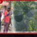 රාජා වත්තේ තේ දළු නෙළමින් සිටි වතු කම්කරුවන් 17කට බඹර ප්රහාරයක්