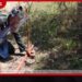 බිම්බෝම්බ ඉවත් කිරීමට  ජාත්‍යන්තර හා දේශීය සංවිධාන  4ක් සමඟ ගිවිසුම්වලට  කැබිනට් අනුමැතිය!