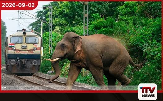 වනඅලි දුම්රියේ ගැටීම වැළැක්වීමට නව තාක්ෂණික විසඳුමක්