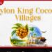 Ceylon King Coconut Villages ජාතික ව්යාපෘතිය යටතේ තැඹිලි ගම්මාන 250ක් පිහිටුවීම හෙට පන්නලින් ඇරඹේ!