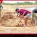 යාල වනෝද්යානයේ දැඩි නියඟය හමුවේ සතුන්ගේ පිපාසය සංසිඳවීමට පළමු කලාපය පුරා නව දියවළවල් ඉදිවෙයි!