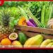 පලතුරු වගාවන් සඳහා නව රක්ෂණාවරණයක් හඳුන්වා දෙයි!