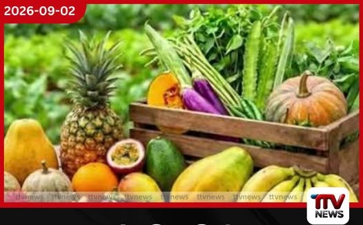 පලතුරු වගාවන් සඳහා නව රක්ෂණාවරණයක් හඳුන්වා දෙයි!