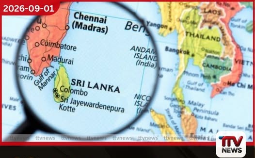 ලැව්ගිනිවලින් දැවුණු සර්බියානු අභයභූමිය නැවත ගොඩනැඟීමට විද්යාඥයන්ගෙන් අලුත් සැලසුමක්