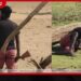 බලධාරින් කාමර වල නිදාගෙන ඉද්දි යාලේ මහ දවල් මස් වැද්දන් එළිපිට දඩයමේ