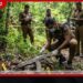 මිල්ලනිය කැලෑවක තිබී T56 ගිනි අවියක් සොයාගනී