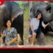 තාත්තාගේ වියෝවෙන් දුක්වූ  සුදුමැණිකේ…