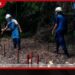 තැඹිලි ගම්මාන 250ක් රට පුරා Ceylon King Coconut Village හෙට ඇරඹේ