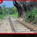 දිට්වා විනාශ කළ උඩරට දුම්රිය මාර්ගයේ රඹුක්කන-පේරාදෙණිය කොටසේ  වැඩ අවසන්