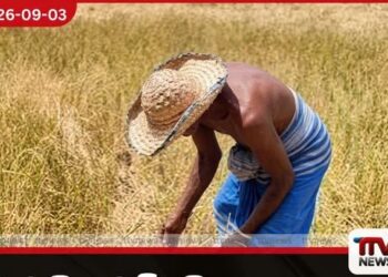 එල් නිනෝ වියළි කාලගුණයෙන් විනාශ වූ වගා සඳහා වන්දි ගෙවීමට රුපියල් බිලියන 3ක් වෙන්කෙරෙයි