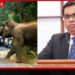 වන අලි-දුම්රිය ගැටුම් වළක්වන්න නව තාක්ෂණික ක්‍රමයක්…