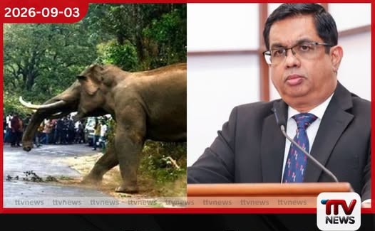 වන අලි-දුම්රිය ගැටුම් වළක්වන්න නව තාක්ෂණික ක්රමයක්…